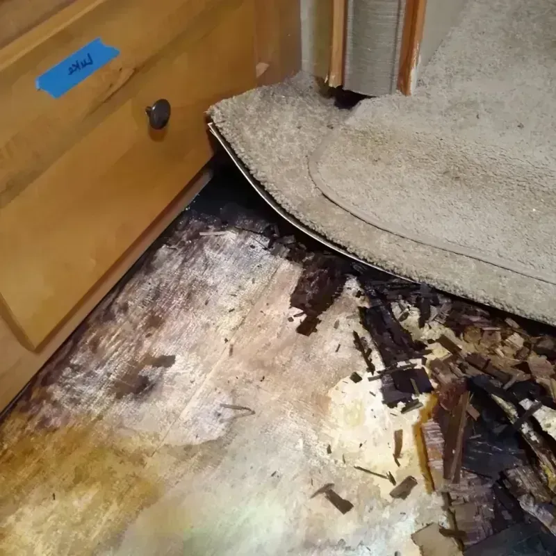 Wood Floor Water Damage in Britton, SD